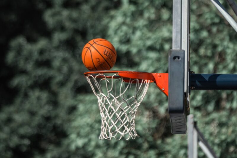 Experience the Thrill of Live Score Updates