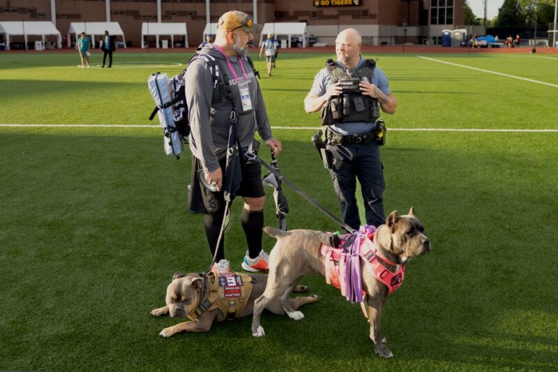 犬のしつけ教室で愛犬との絆を深める方法