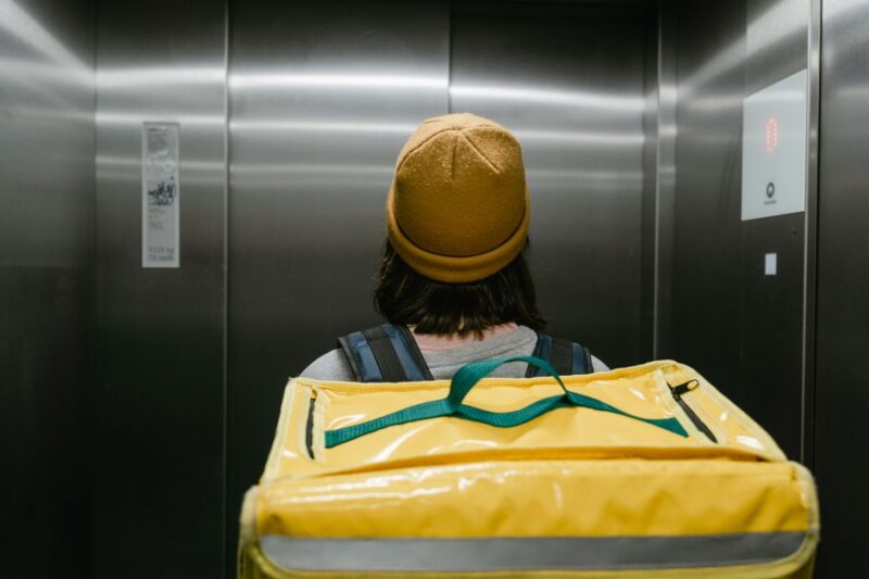 The Rise of Raw Dog Food Delivery Services