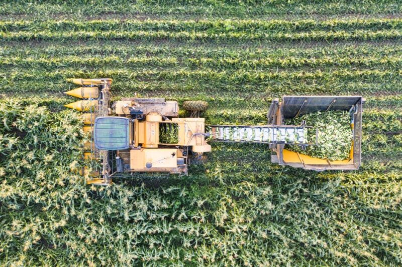 Understanding the Importance of Crop Insurance for Farmers