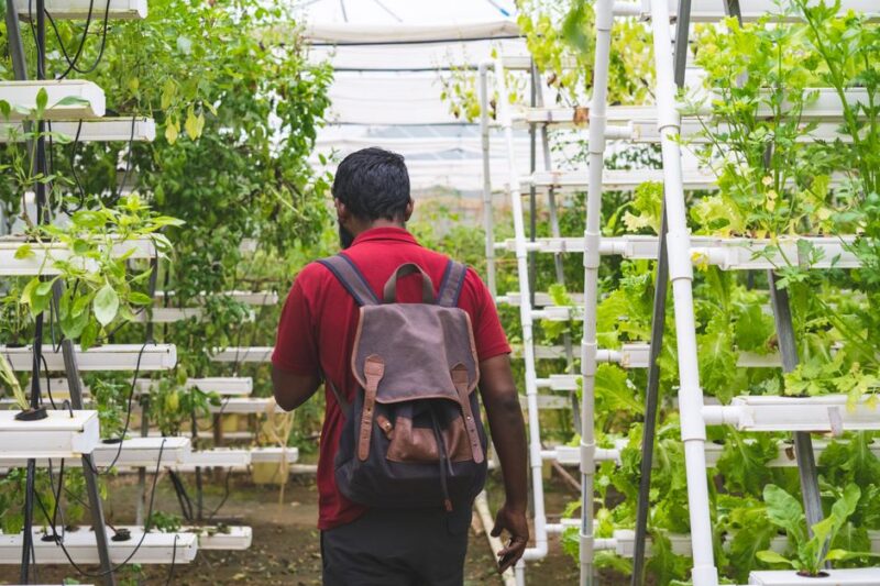 The Future of Agriculture: Exploring Vertical Farming Technology