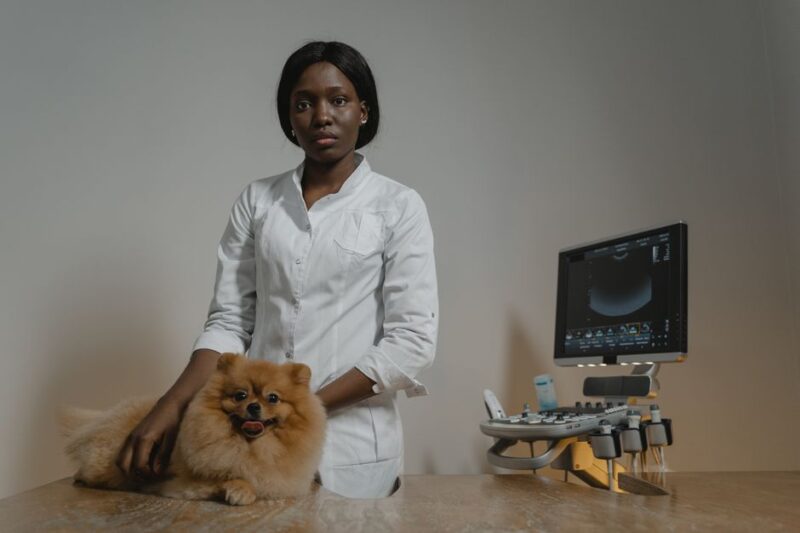 La importancia de elegir la mejor clínica veterinaria para tu mascota