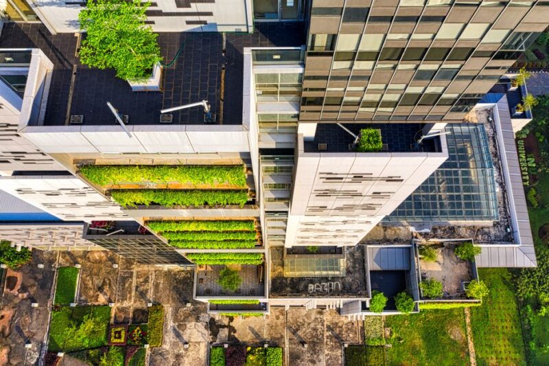The Future of Sustainable Architecture: Firms Leading the Way
