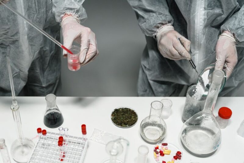 Understanding the Importance of Drug Testing Services